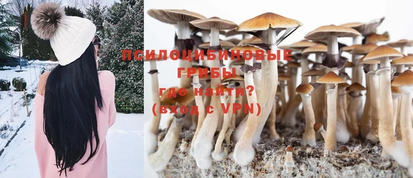 соль курить ск Елабуга